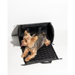 Travel Pet Carrier -Men Clothing Store 1wo travel pet carrier 1