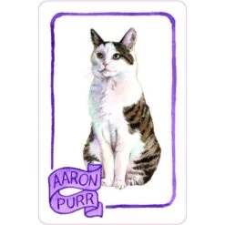 Cat Lady Old Maid Card Game -Men Clothing Store cat lady old maid card game 3