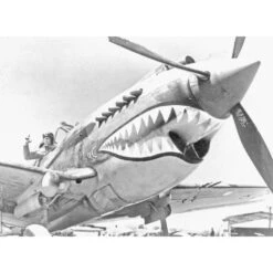 Shark FighterMighty Wallet -Men Clothing Store shark fighter mighty wallet 3