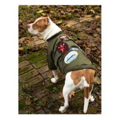 Top Gun® Dog Bomber Jacket -Men Clothing Store top gun dog bomber jacket 2