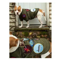 Top Gun® Dog Bomber Jacket -Men Clothing Store top gun dog bomber jacket 3