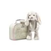 Hoppie Rabbit With Suitcase -Men Clothing Store wh1stf hoppie rabbit with suitcase