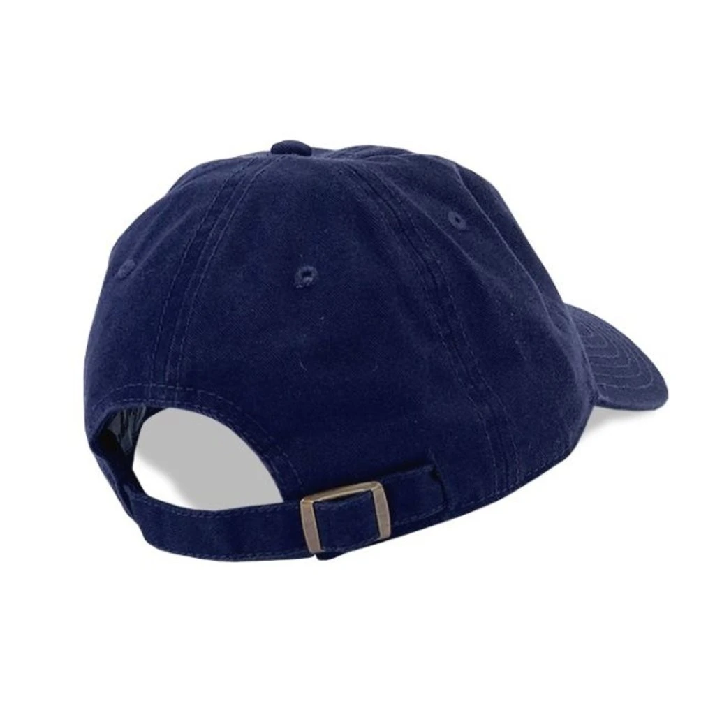 Cap: American Airlines 4 Cap: American Airlines - Image 2